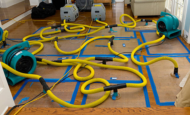 Professional Water Extraction technician working in Odessa, FL
